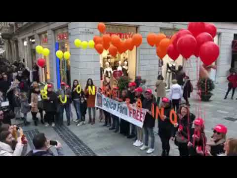 Sit-in Sanremo 08/02/2020