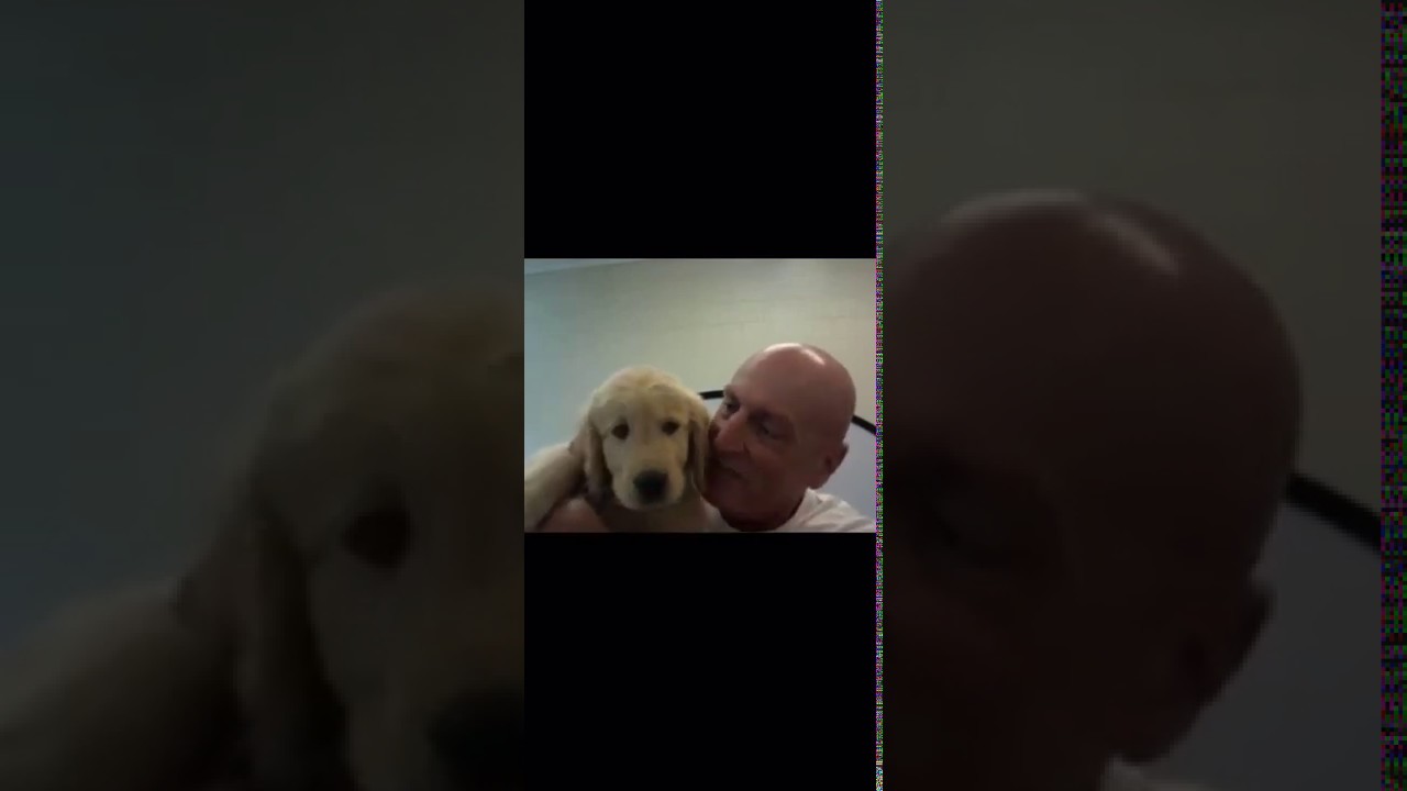 Videomessaggio dal carcere – Chico e il cane Zinger